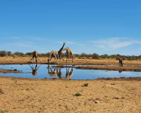 Etosha Nationalpark