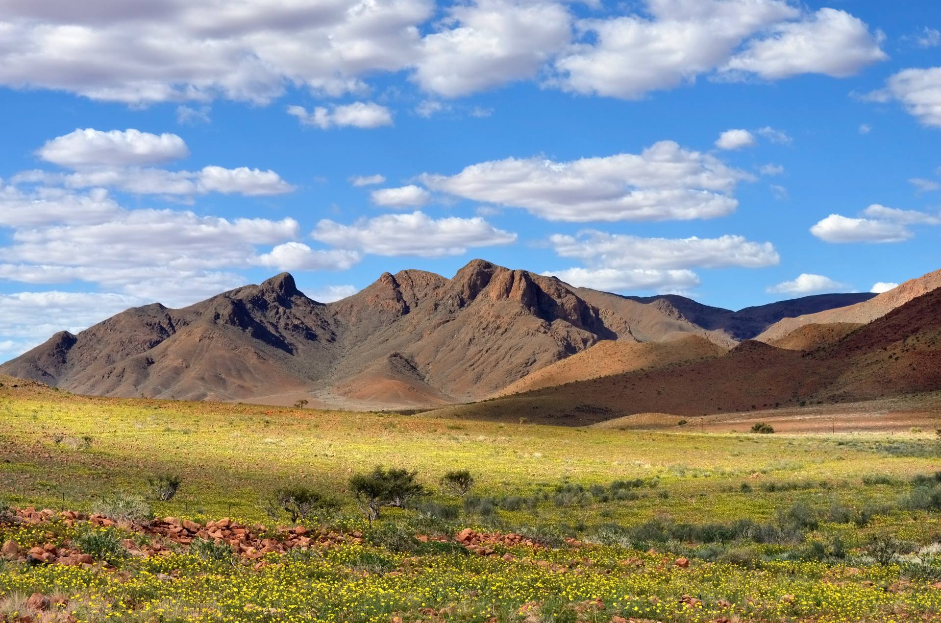 Blick über das grüne Damaraland