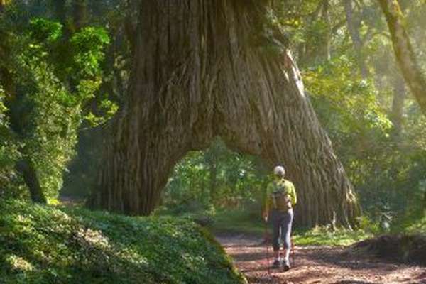 Arusha Nationalpark in Tansania