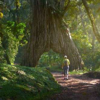 Arusha Nationalpark in Tansania