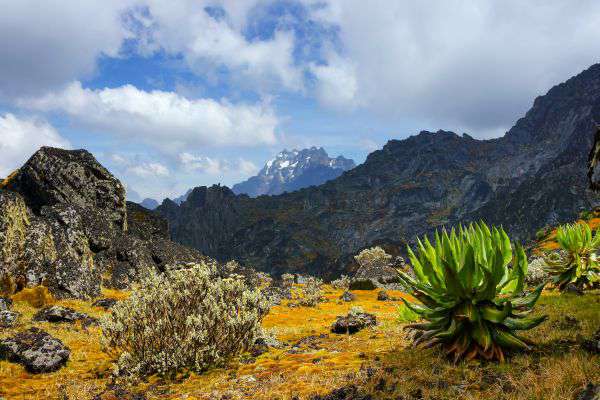 Rwenzori Mountains