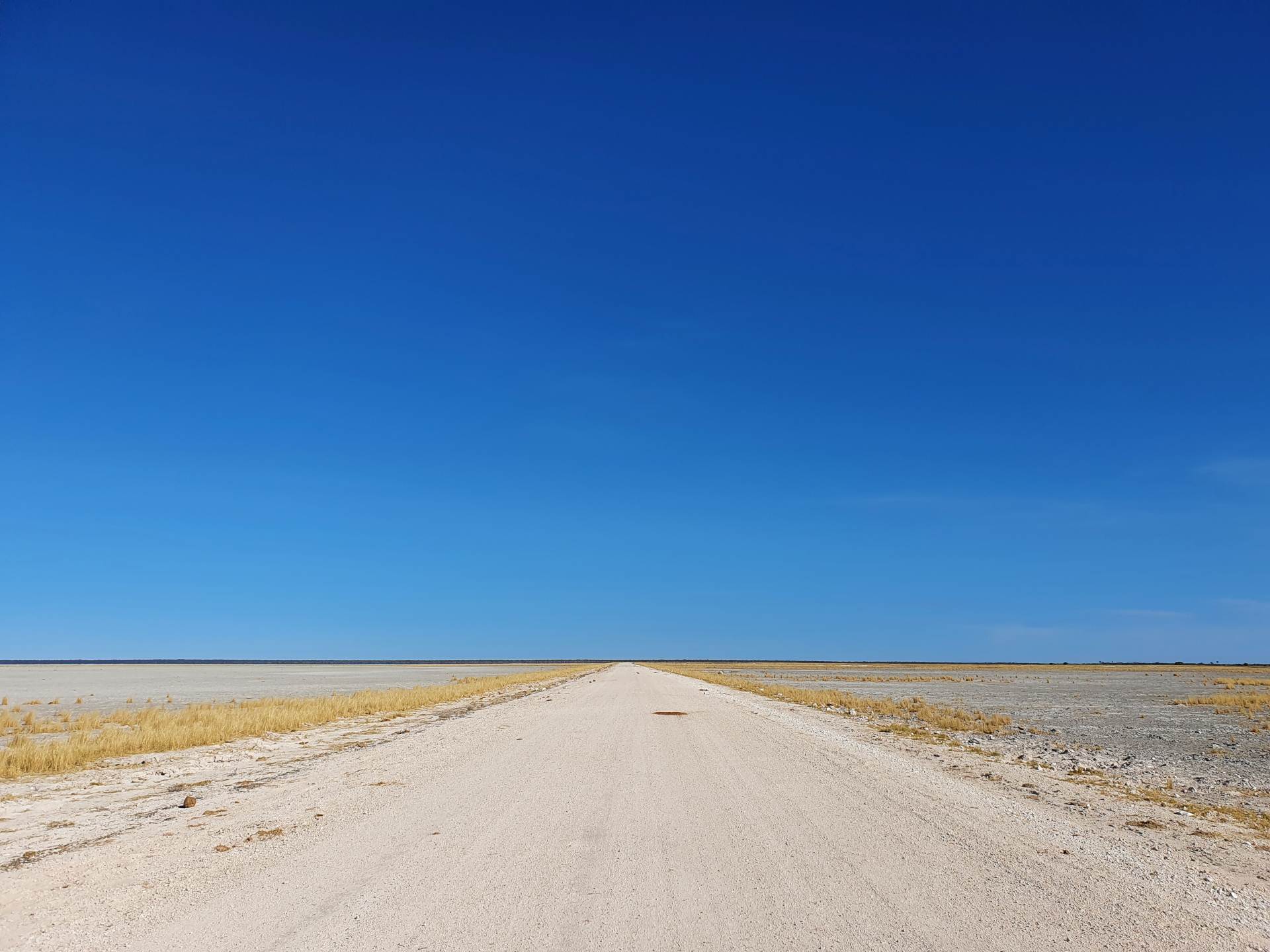 Strasse durch den Etosha Nationalpark