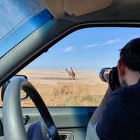 Pirschfahrt im Etosha Nationalpark