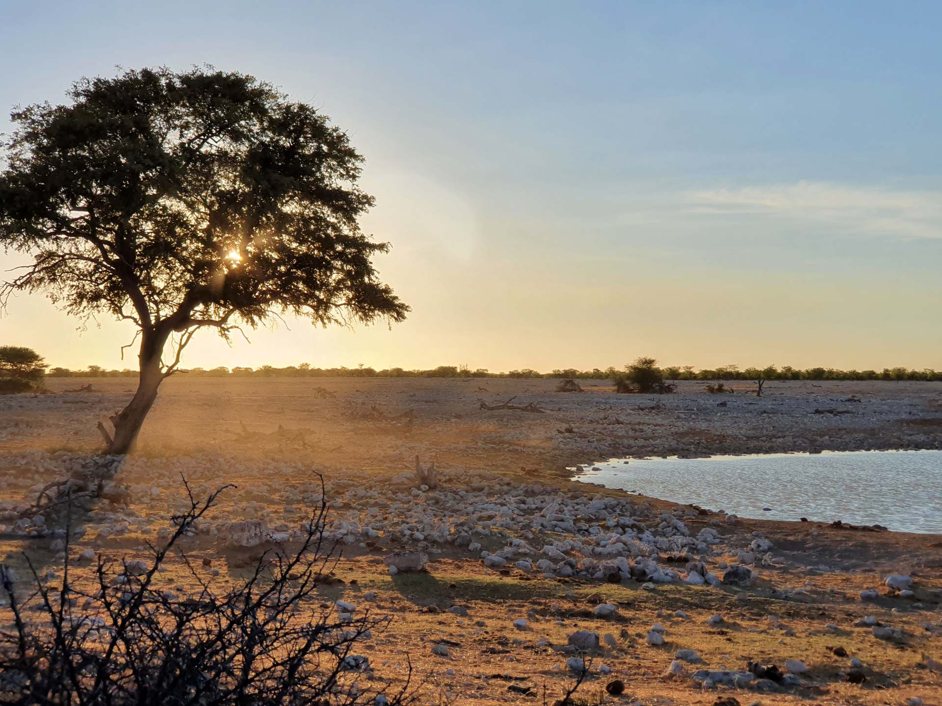 Sonnenaufgang am Wasserloch