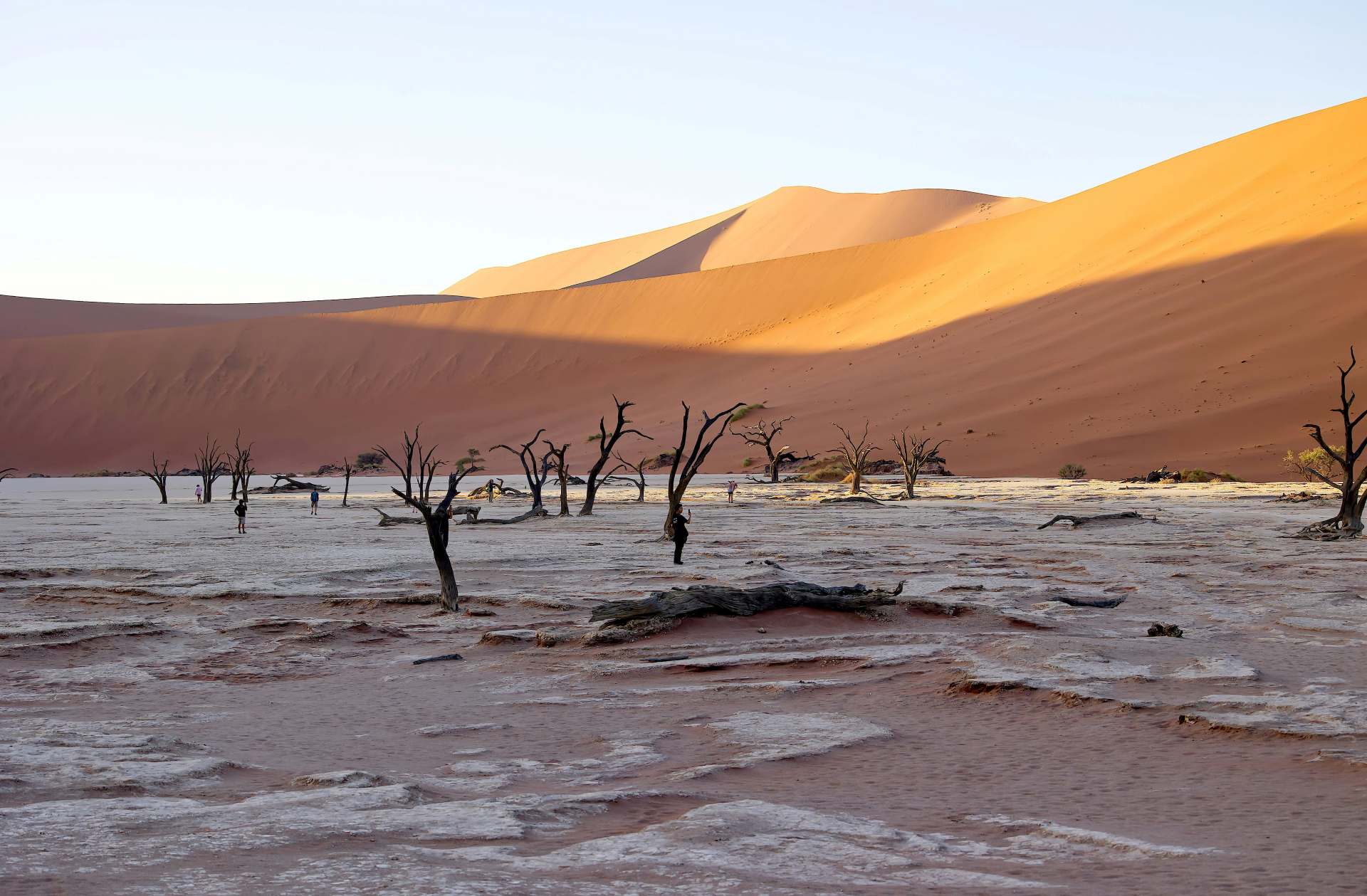 Die abgestorbenen Bäume im Deadvlei