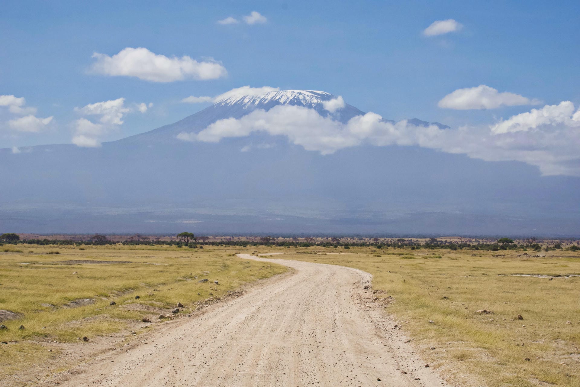 Sicht von Kenia auf den Kilimanjaro