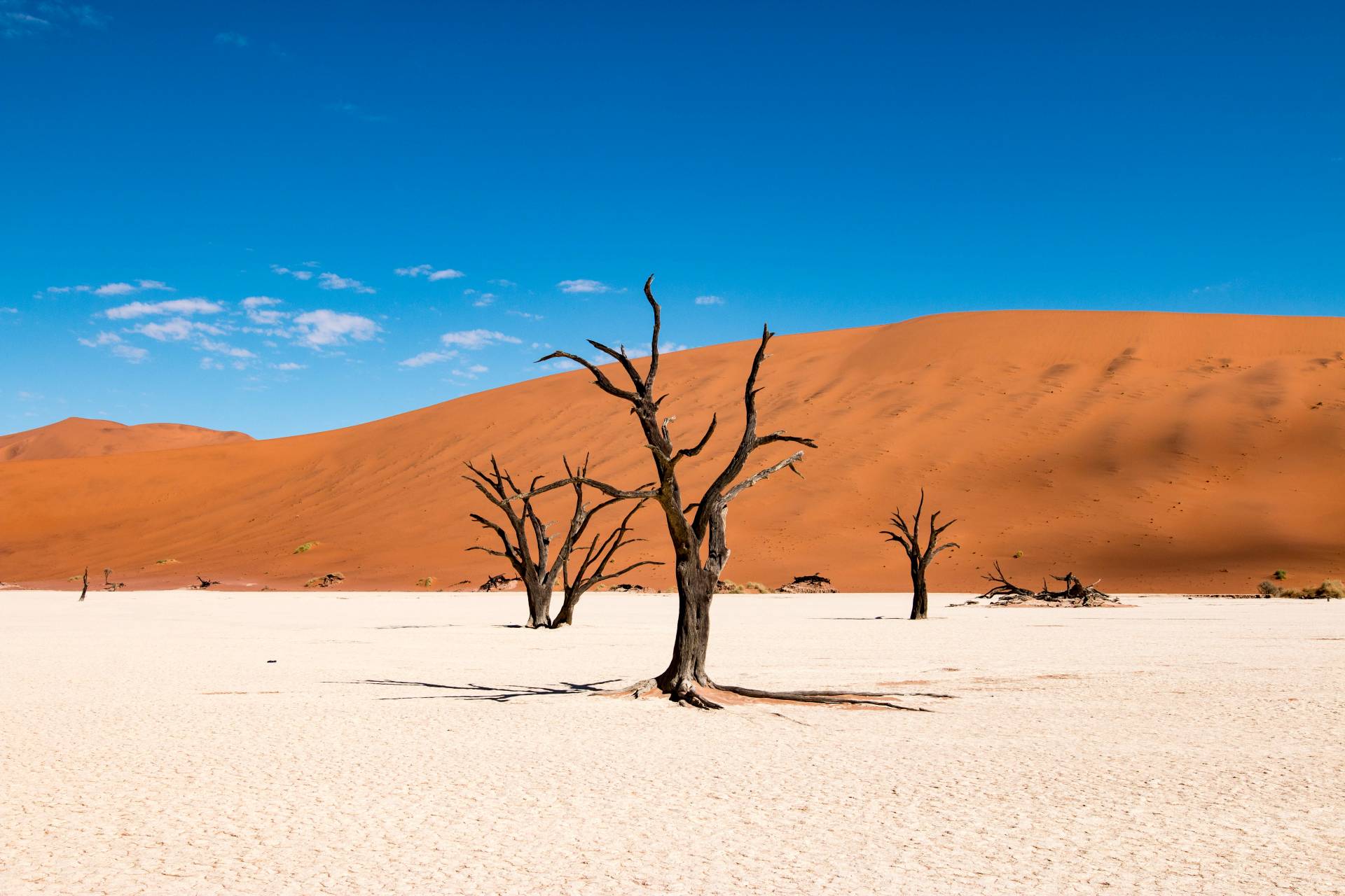 Deadvlei with dead trees