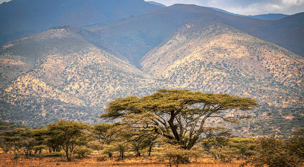 Landscape in Ngorongoro Crater
